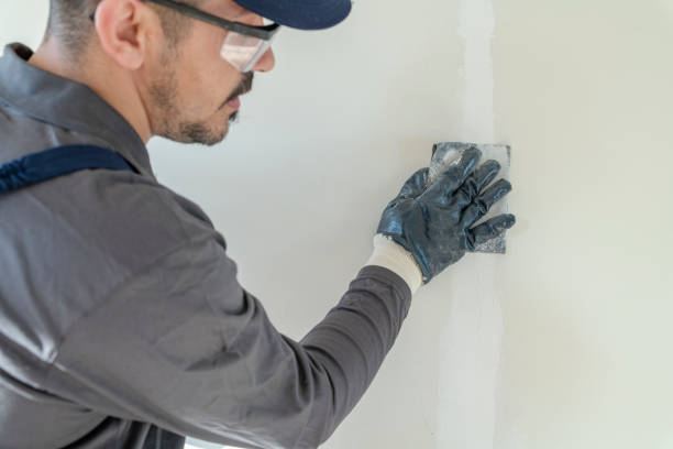 Professional Drywall & Painting Services in Christopher, IL